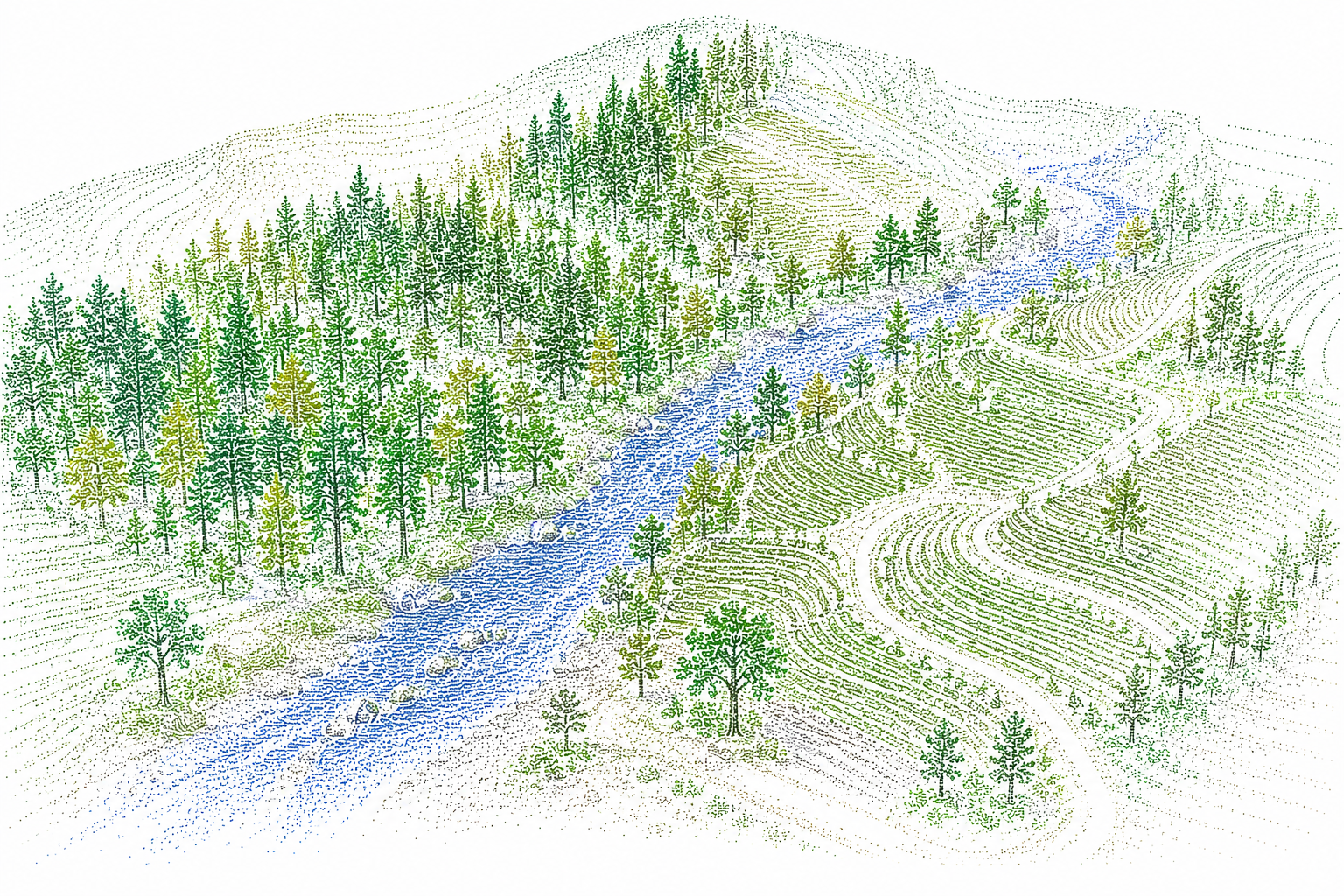 Vegetation and Terrain Mapping